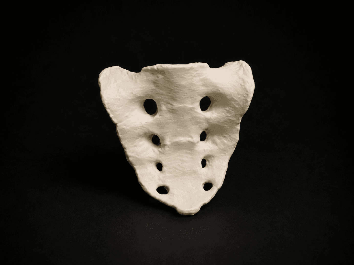 Sacrum